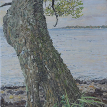 Nikolaus Störtenbecker, Baum am Ufer, Ölgemälde